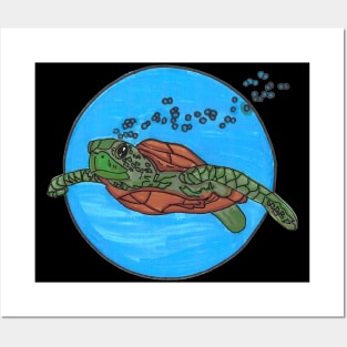 Sea Turtle Swimming Posters and Art